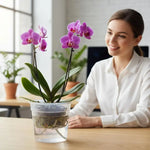 pot plantes auto arrosant transparent minimaliste grille ventilation réservoir d'eau