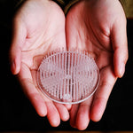 grille semis transparente plastique adhésive moderne jardinage bacs couvercles soins