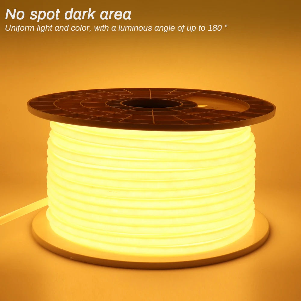 Bande LED COB utilisée pour éclairer un jardin la nuit