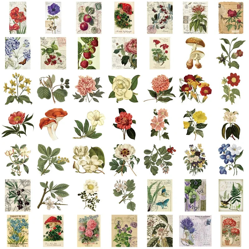 sticker floral vintage botanique adhésif décoration scrapbooking feuilles fleurs champignons papillons lettres motifs anciens