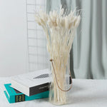 décoration maison plante séchée pampa moelleuse naturelle vase dried flowers beige rustiqueintérieur