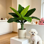 Décoration intérieur plante artificielle arbres feuilles vertes pots diverses tailles 37 40cm