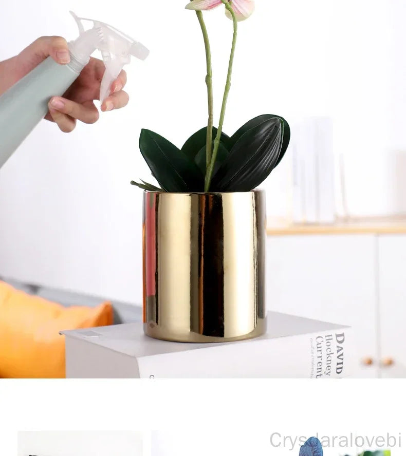 cache pot céramique finition or moderne plante verte décoration intérieure brillance lisse minimaliste maison