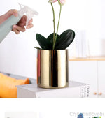 cache pot céramique finition or moderne plante verte décoration intérieure brillance lisse minimaliste maison