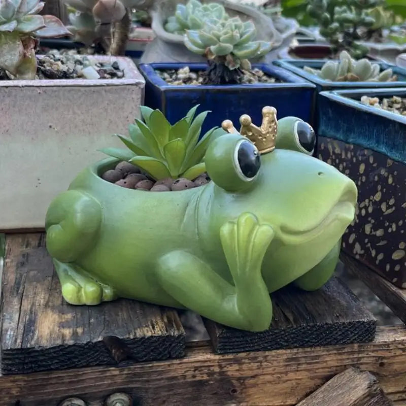 jardinière grenouille couronne vert doré plant succulent pot résine patio décoration fantaisiste