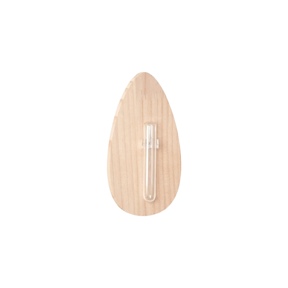 vase mural bois naturel transparent moderne minimaliste décoration murale fleurs vertes