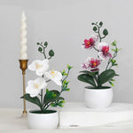 fleurs artificielles orchidées papillon soie blanc rose vert modernes intérieur mariage anniversaire