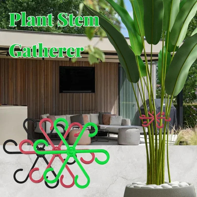 groupeurs tiges plantes étoile six crochets vert noir rouge moderne jardin intérieur