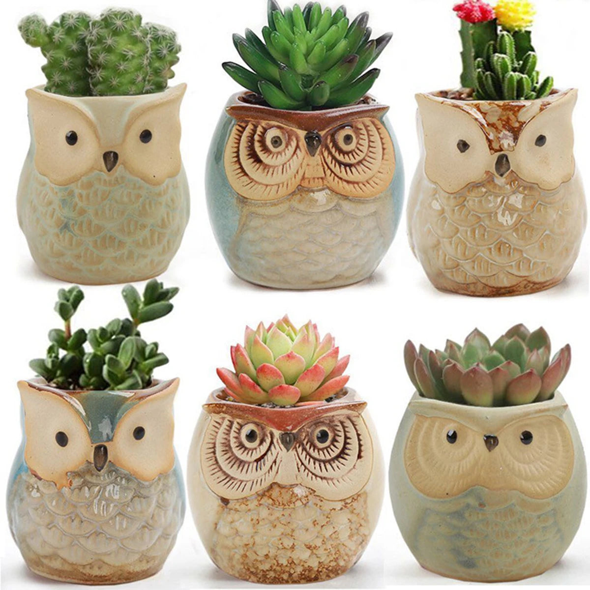 Cache-pot céramique hibou mignon blanc avec plante grasse