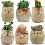 Cache-pot céramique hibou mignon blanc avec plante grasse