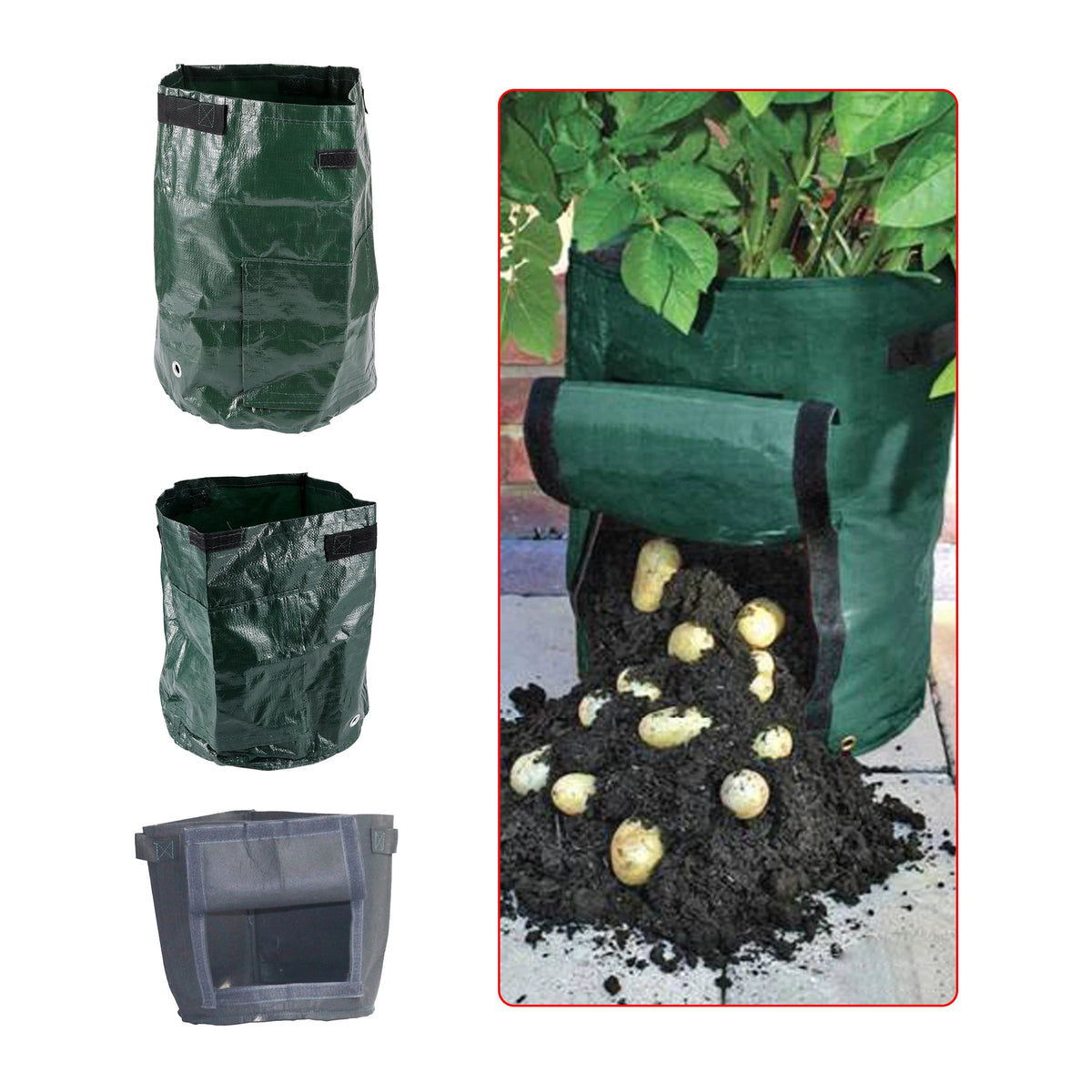 sacs culture tissu texturé fonctionnels jardinage attaches velcro pommes terre plantes vertes opaque fenêtre