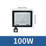 projecteur led capteur mouvement 10w 100w ip66 moderne noir aluminiumextérieur