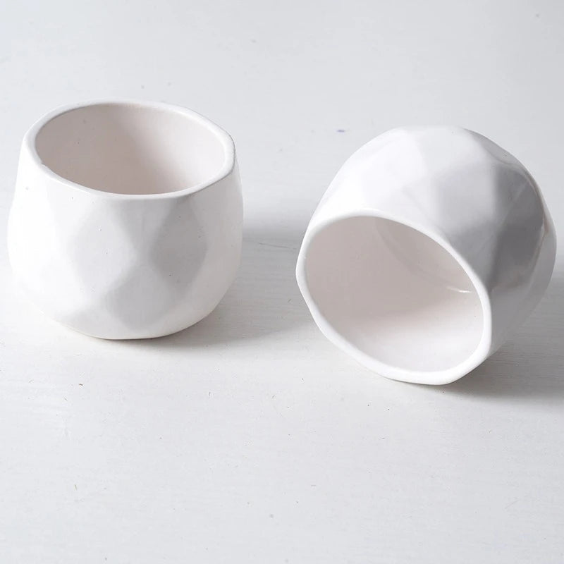 pots fleurs céramique blanc modernes minimalistes succulentes decoration intérieure jardinière