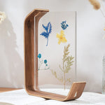 support livre transparent feuilles séchées fleurs séchées moderne minimaliste