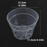 pots fleurs transparents modernes drainage holes ensemble plantes herbes cactus