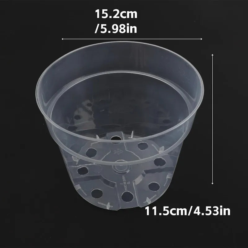 pots fleurs transparents modernes drainage holes ensemble plantes herbes cactus
