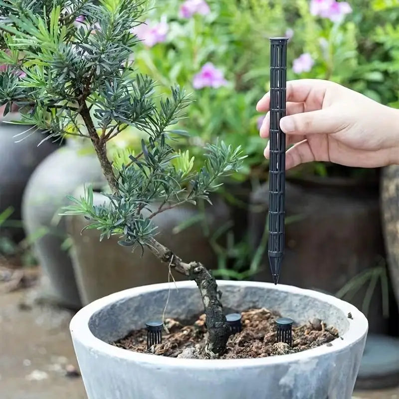 tuteur plante transparent perforations moderne eyelets plastique growth support jardin pot plantes
