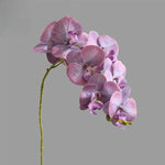 décoration intérieure orchidées artificielles 103cm rose blanc violet rouge moderne minimaliste