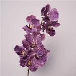 Décoration intérieure orchidée artificielle latex violette rose blanche naturelle têtes