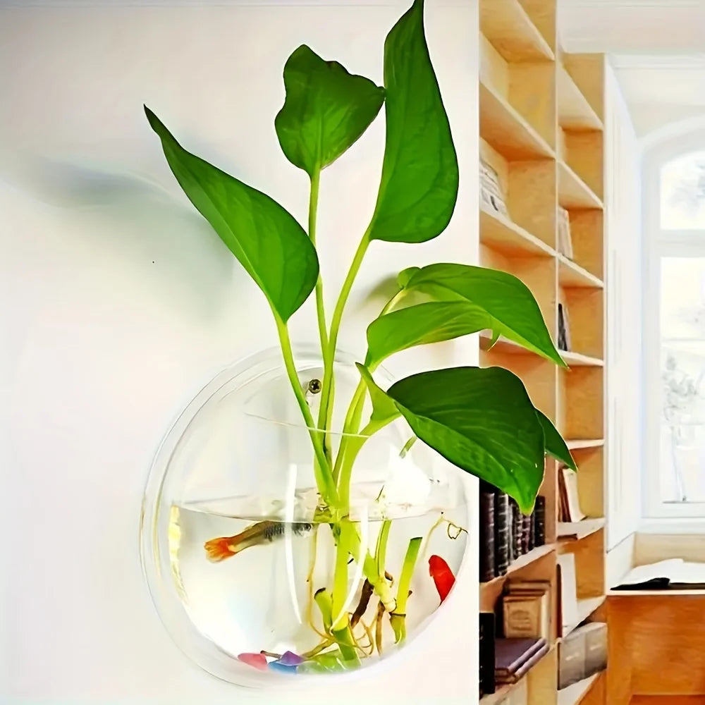 aquarium mural transparent moderne poissons plante galets colorés fixations suspension