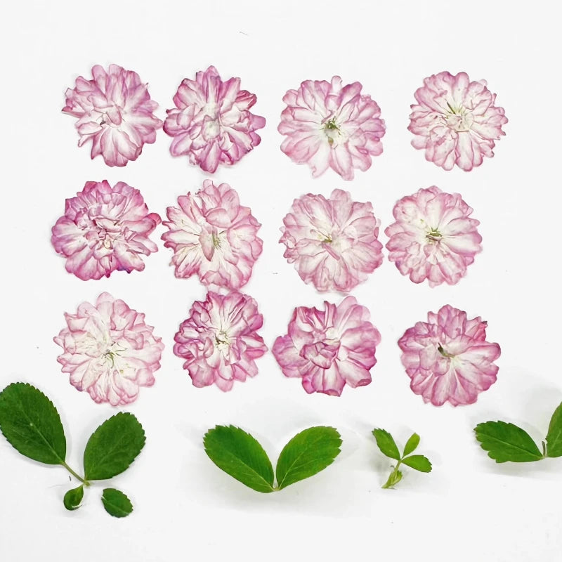 fleurs séchées rose naturelles décoration maison anniversaire baby shower intérieur