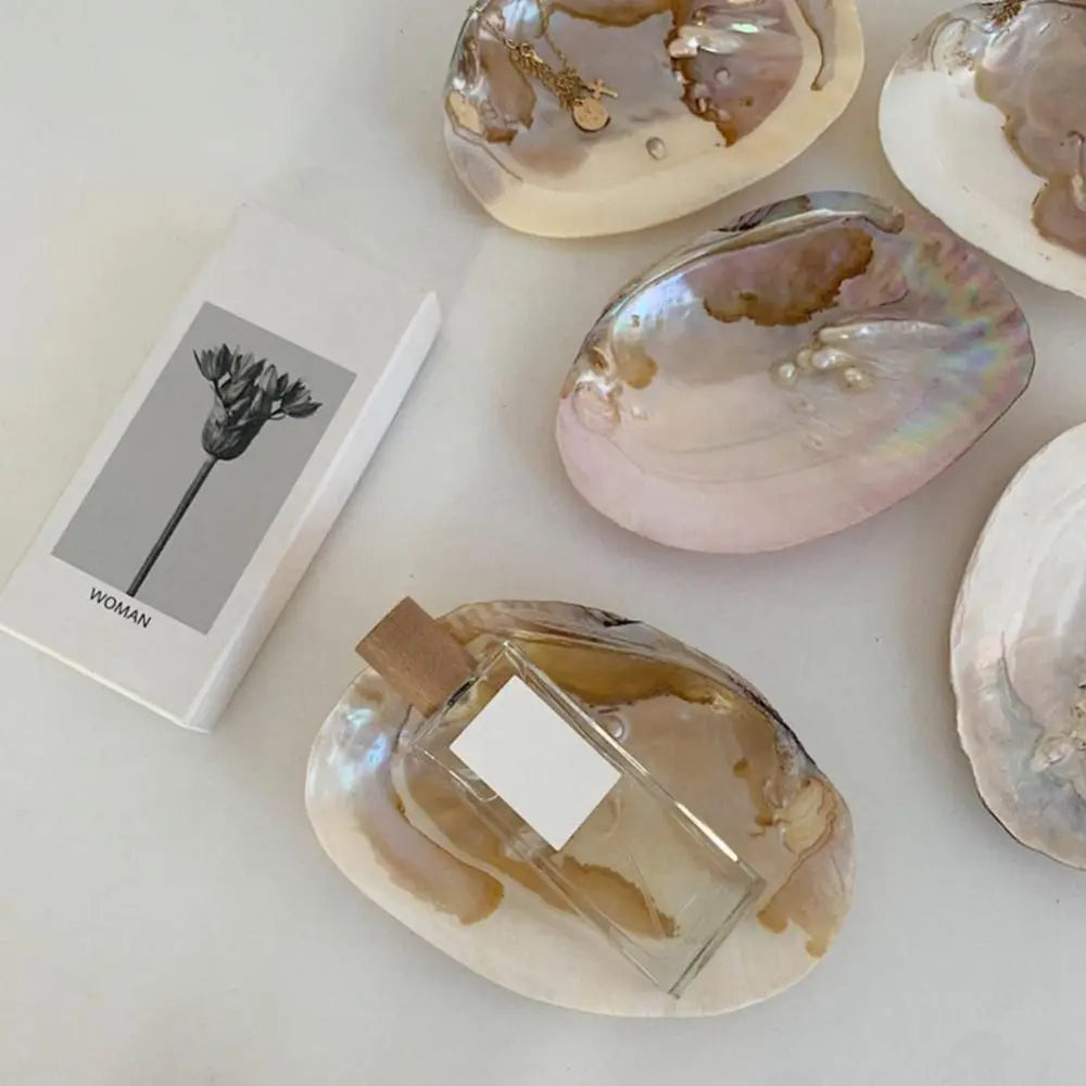 plateau rangement bijoux coquillage forme naturelle couleurs rose beige blanc iridescent minimaliste maison