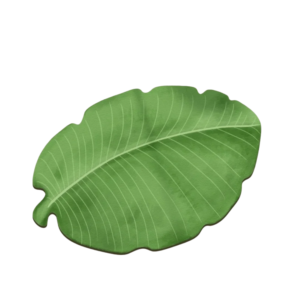 tapis feuille plante vert noir marron clair moderne naturel caoutchouc rapide absorbant doux