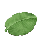 tapis feuille plante vert noir marron clair moderne naturel caoutchouc rapide absorbant doux