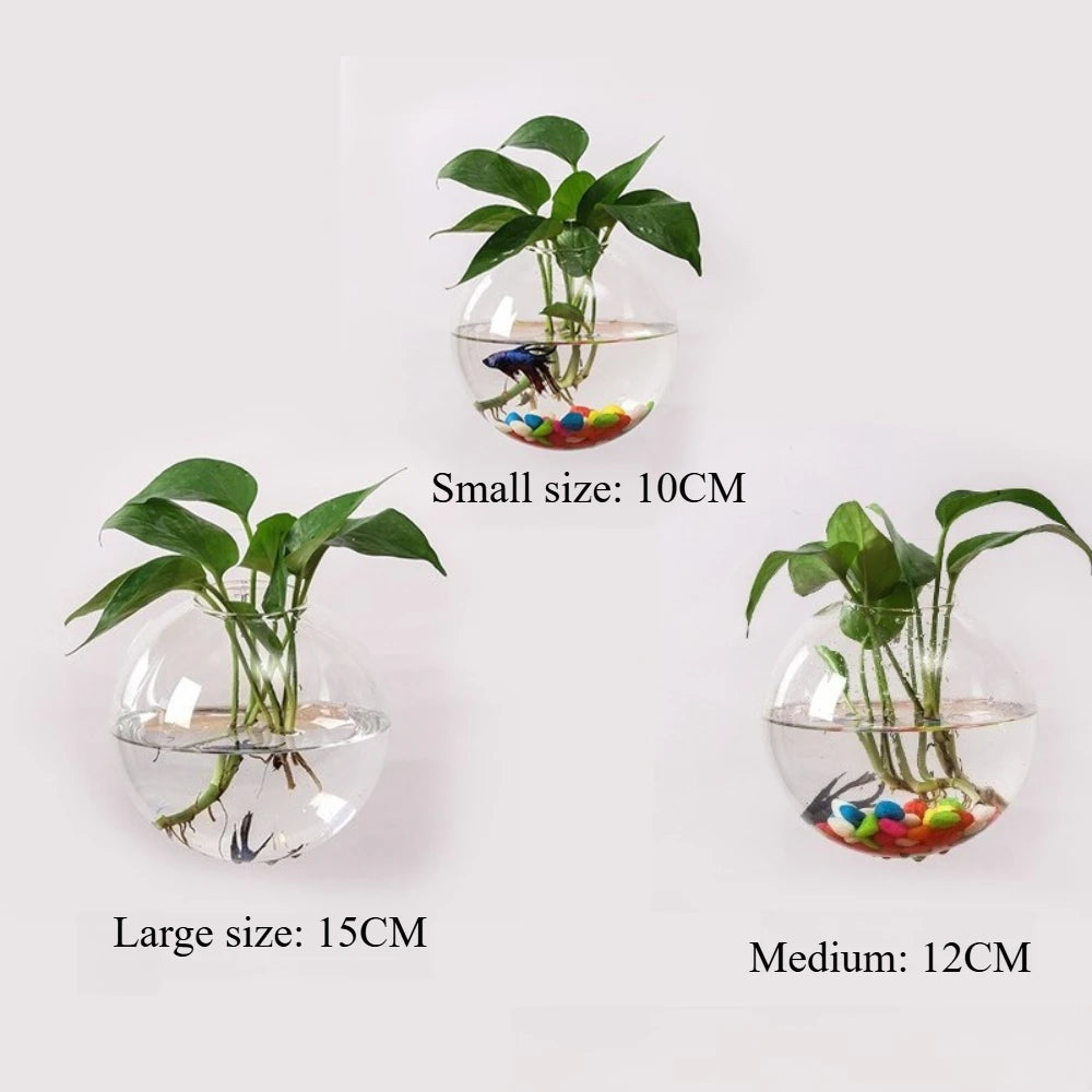 vase suspendu boule verre transparent moderne adhésif poissons plantes intérieur décoration papillons
