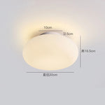 luminaire suspendu ovale moderne acrylique blanc 3000K 6000K salon chambre
