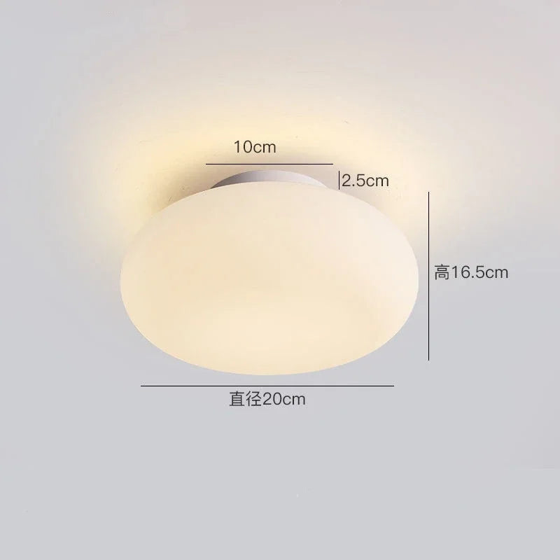 luminaire suspendu ovale moderne acrylique blanc 3000K 6000K salon chambre