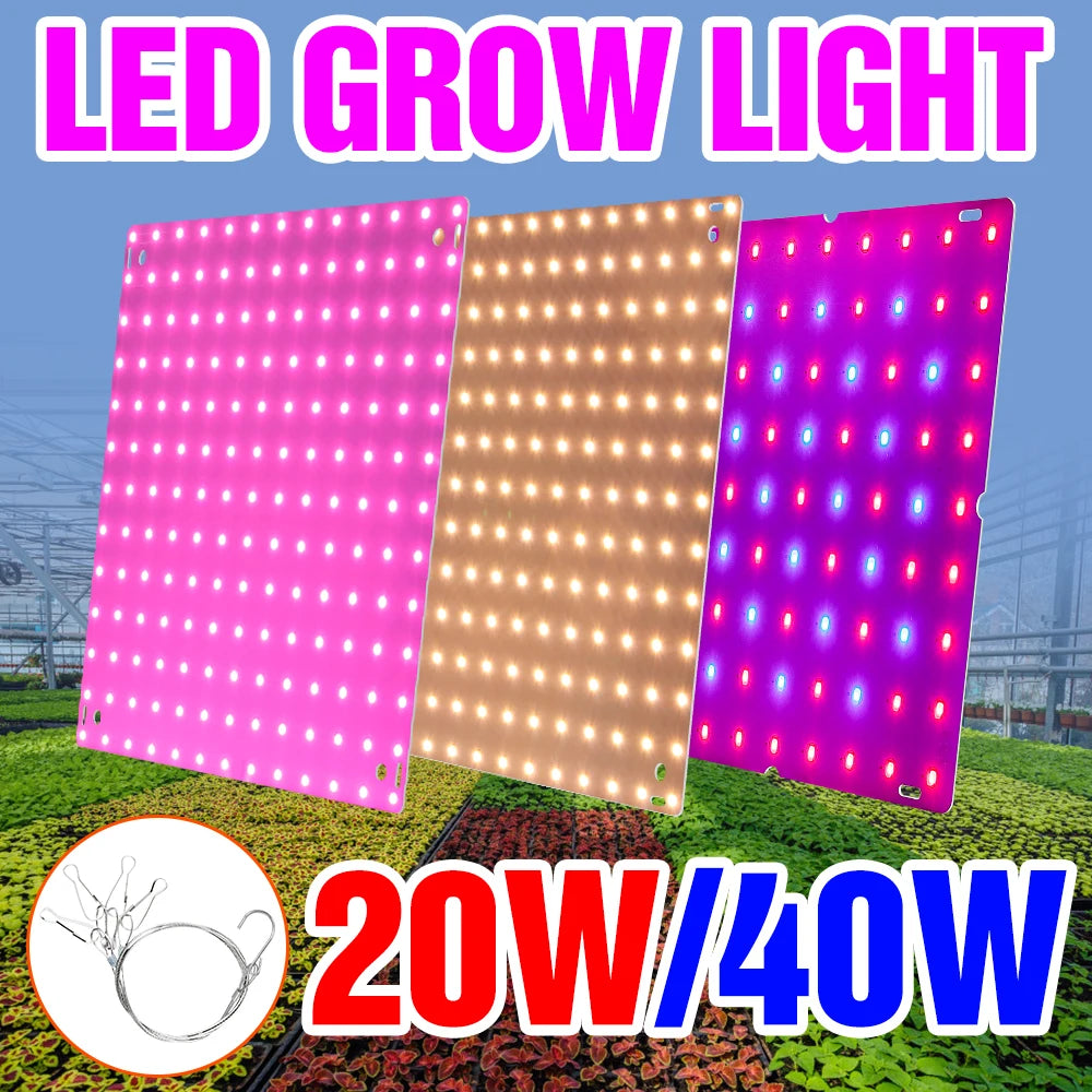 lampe led culture plantes rose rouge bleu moderne grille led crochets adaptateurs eu us