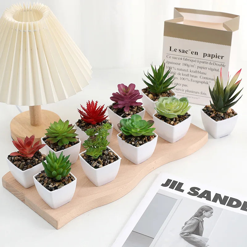 plantes succulentes artificielles vert rouge marron moderne minimaliste intérieur décoration maison