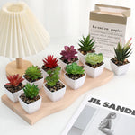 plantes succulentes artificielles vert rouge marron moderne minimaliste intérieur décoration maison