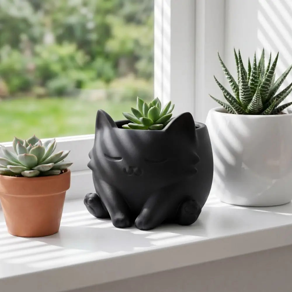 pots plantes forme chat blanc noir succulentes plantes vertes deco mignonne minimalisteintérieur