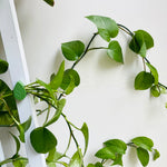 clips plantes autoadhésifs forme feuilles vert moderne pack 100 clips