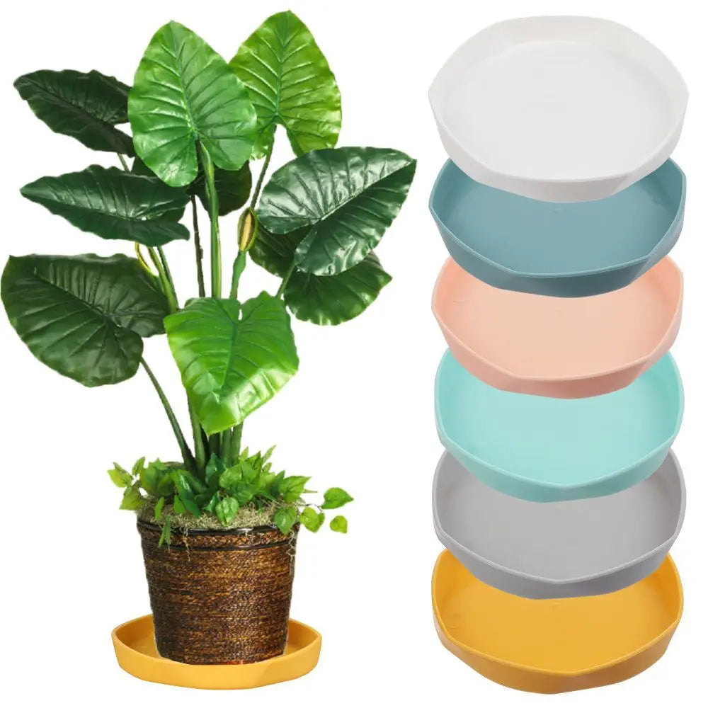 assiettes modernes minimalistes plastique jaune rose blanc vert bleu gris 11cm 14.5cm