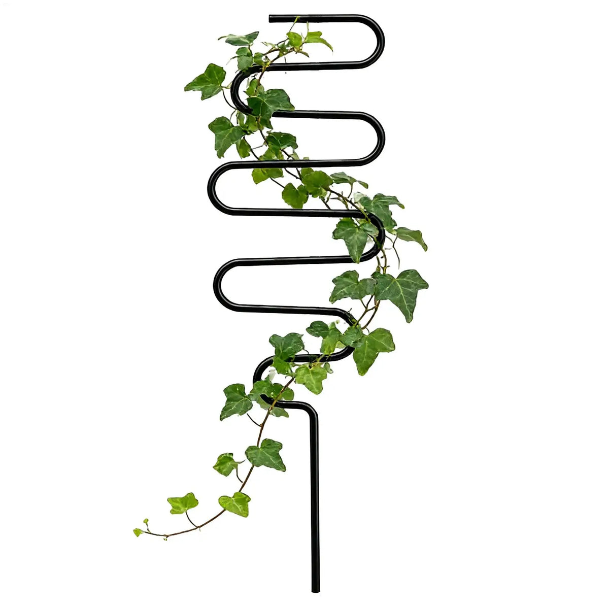 treillis métal noir spirale moderne support plantes grimpantes jardin extérieur ornemental lierre fleurs