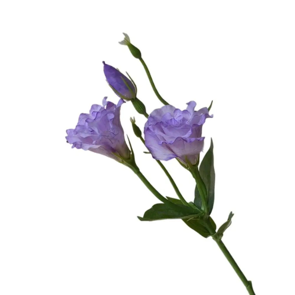 bouquet fleurs artificielles violet blanc rose orange décoration intérieure moderne minimaliste
