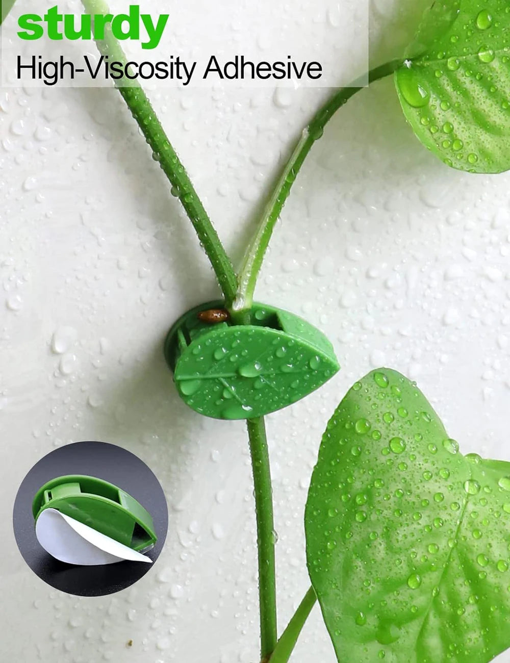 pinces plantes adhésives vertes feuilles imprimées modernes support mur invisible 10 20 50 pièces