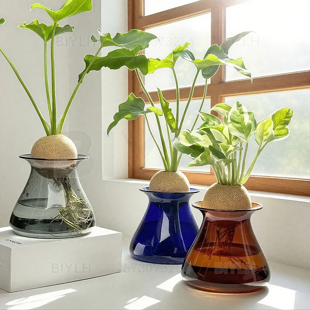 vase verre hydroponie transparent bleu ambré gris plante décoration table moderne minimaliste