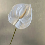 fleurs artificielles anthurium rouge vert rose blanches décoration moderne mariage intérieur decoration capitule plastique