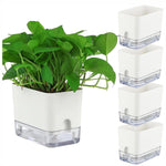 pots plantes auto arrosants blancs moderne grille drainage transparent minimaliste