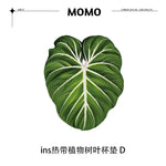 coasters feuilles tropicales vert blanc rose moderne respectueux environnement set 4pcs 5pcs