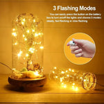 guirlande lumineuse fil cuivre led blanc chaud clips moderne étanche chambre vacances decoration