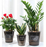 bacs pépinière plastique moderne pot d'eau auto arrosage plante verteintérieur designhydroponique