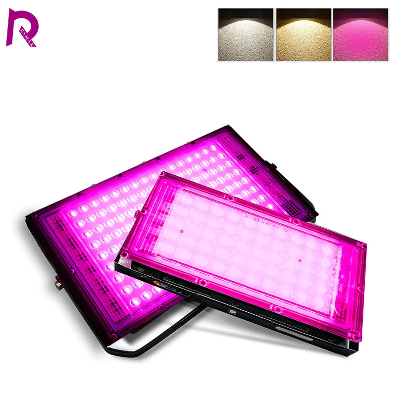 lampe led full spectrum 50w 100w noir blanc rose moderne clips cabled interrupteur grow