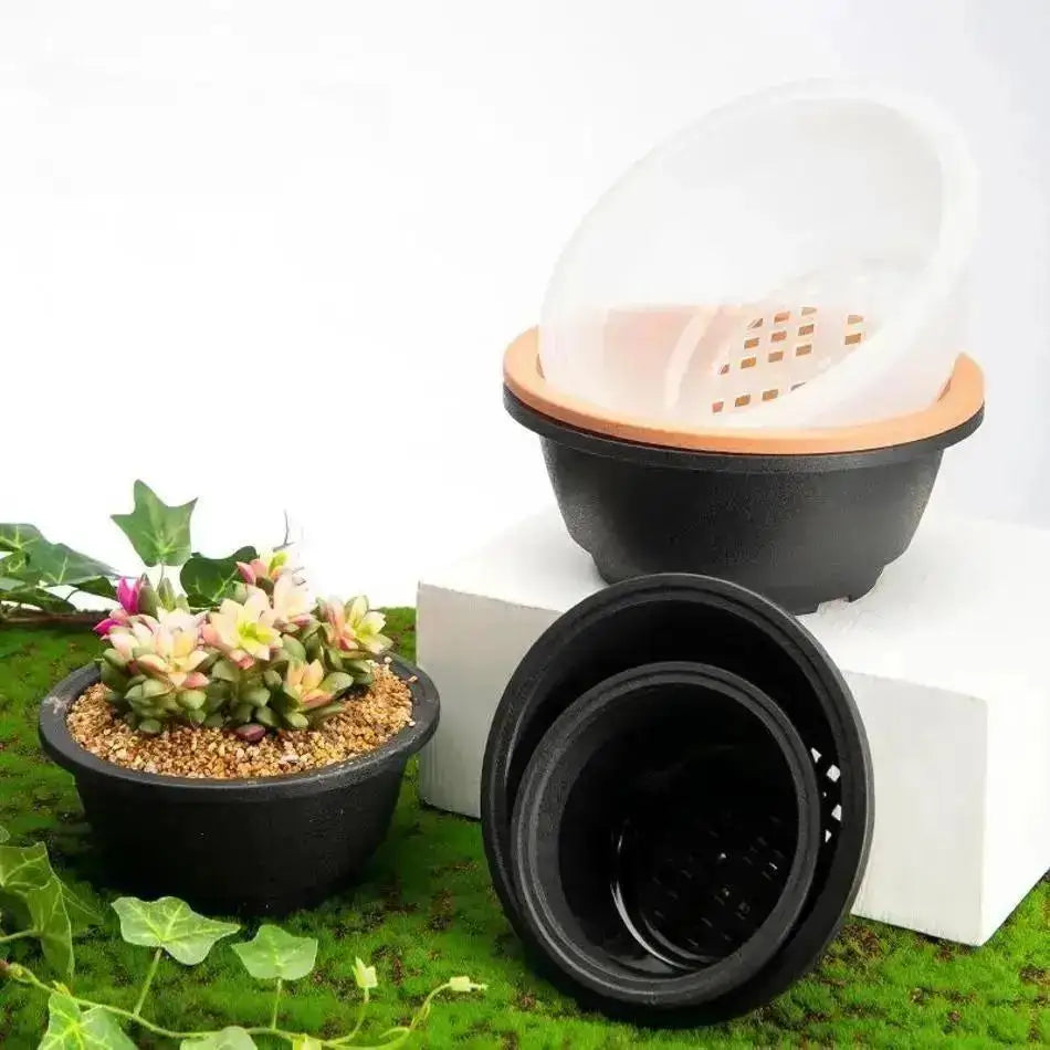 pots fleurs succulentes transparents pots jardin pots minimalistes pots plante pots plastique pots pots