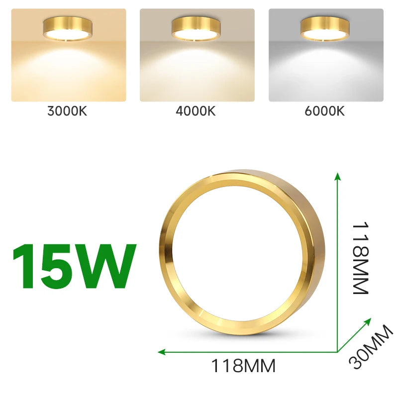 Spot LED Or Moderne Surface Montée Plafonnier 5W 10W 15W 25W Couleurs Changeables
