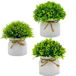 plante artificielle feuilles pointues vert clair moderne ruban jute décoration intérieure maison salon ornementalité